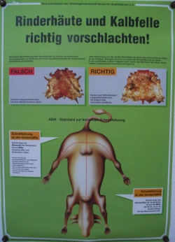 Poster-Haut-schneiden-001.jpg